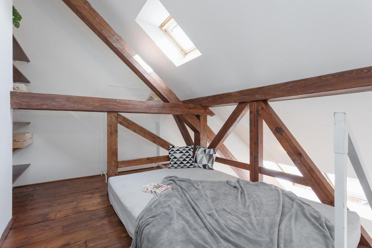 Bright And Spacious Attic Apartamento Praga